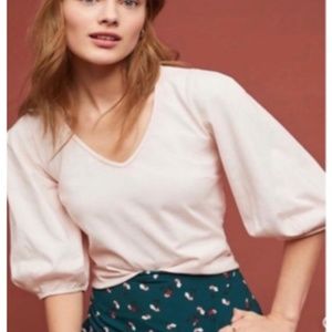 ANTHROPOLOGIE Velvet V-Neck Short Sleeve Top